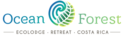 Ocean Forest Ecolodge