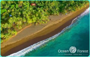 OCEAN FOREST ECOLODGE RETREAT CENTRE, COSTA RICA/DRAKE BAY: 250